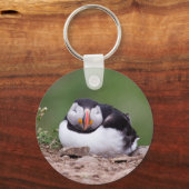 Porte-clés Puffin dormant (Recto)