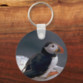 Porte-clés Puffin, Fratercula artica (Recto)