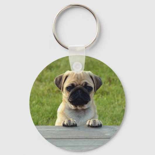 Porte-clés Pug Puppy (Recto)