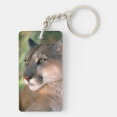 Porte-clés Puma, Californie (Dos)