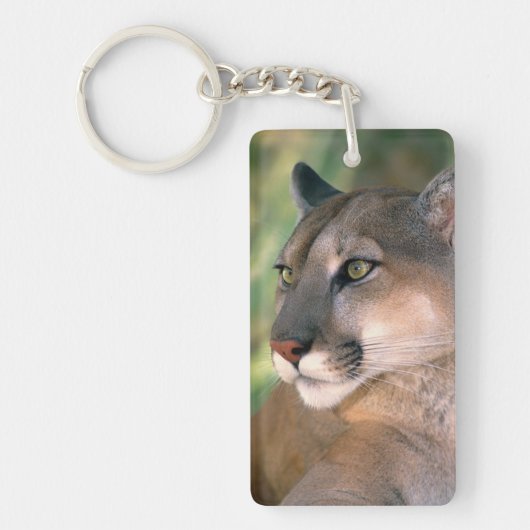 Porte-clés Puma, Californie (Devant)