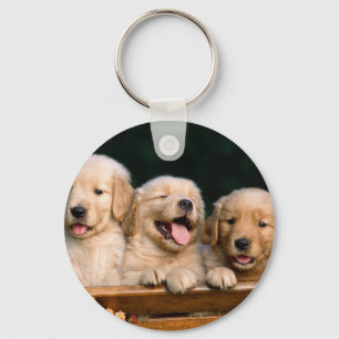 Porte-clés puppies