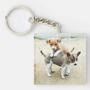 Porte-clés Puppies mignonnes jouer sur la plage