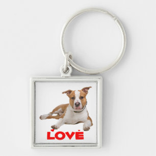 Porte-clés Puppy Chien American Staffordshire Terrier