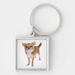 Porte-clés Puppy Chien Chihuahua Longue Robe Tan