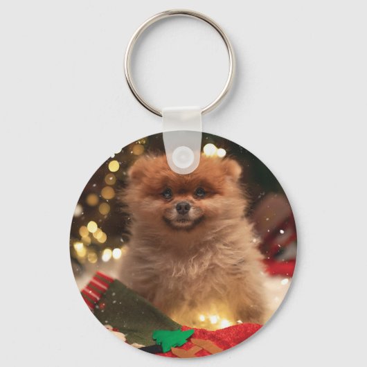 Porte-clés Puppy Christmas (Recto)