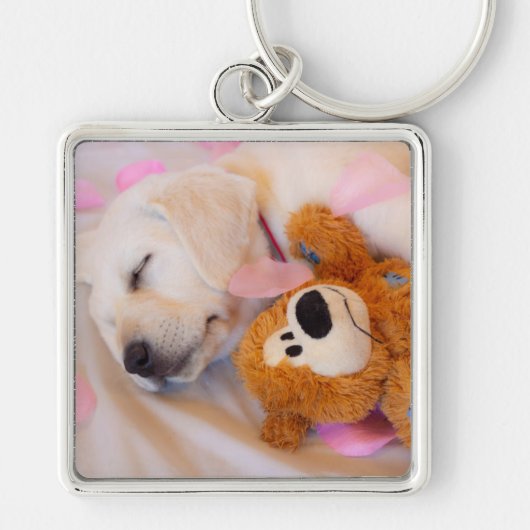 Porte-clés Puppy cuddles 02 (Devant)