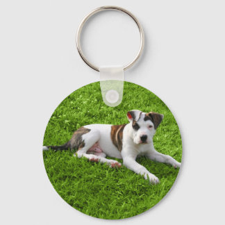 Porte-clés Puppy Pit Bull T-Bone