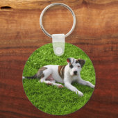 Porte-clés Puppy Pit Bull T-Bone (Recto)