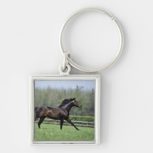 Porte-clés Pur sangs de cheval, Wassl 1988, (Devant)