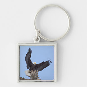 Porte-clés Pygargue à tête blanche (Haliaeetus leucocephalus)