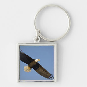 Porte-clés Pygargue à tête blanche, Haliaeetus leucocephalus,