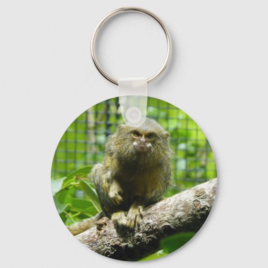 Porte-clés Pygmy Marmoset (Recto)