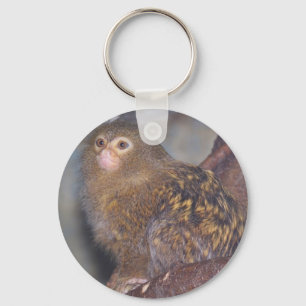 Porte-clés Pygmy Marmoset Portrait