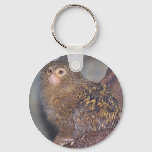 Porte-clés Pygmy Marmoset Portrait (Recto)
