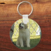 Porte-clés Pyr Puppy (Recto)