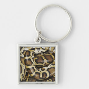 Porte-clés Python birman