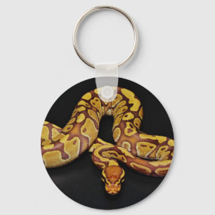 Porte-clés Python Brown et Gold Ball