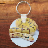 Porte-clés Python noir et jaune 2 (Recto)