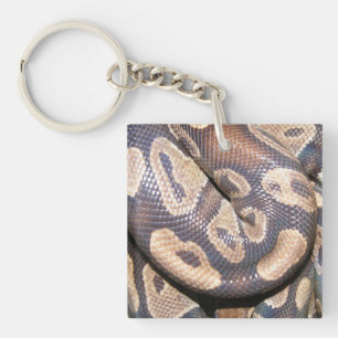 Porte-clés Pythons de boule