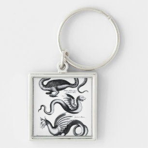 Porte-clés Quatre types de dragon