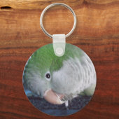 Porte-clés Qu'est-ce que ça fait ? Quaker Parakeet (Recto)