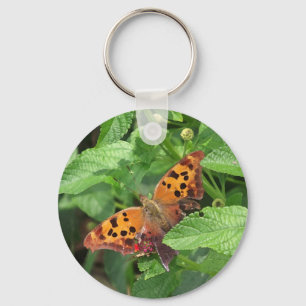 Porte-clés Question Mark Butterfly on Lantana