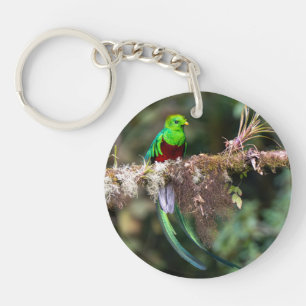 Porte-clés Quetzal resplendissant dans la forêt nuageuse