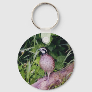 Porte-clés Queue de Bobwhite