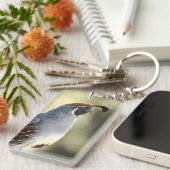 Porte-clés Queue masculine (Devant droit)