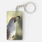 Porte-clés Queue masculine (Dos)