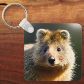 Porte-clés Quintin Le Ginger Quokka, Clavier (Recto)
