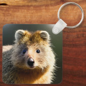 Porte-clés Quintin Le Ginger Quokka, Clavier (Verso)