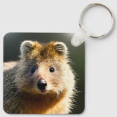 Porte-clés Quintin Le Ginger Quokka, Clavier (Dos)