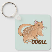 Quoll Australian Marsupial