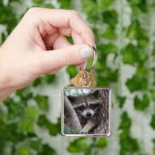 Porte-clés Raccoon (main)