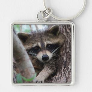 Porte-clés Raccoon