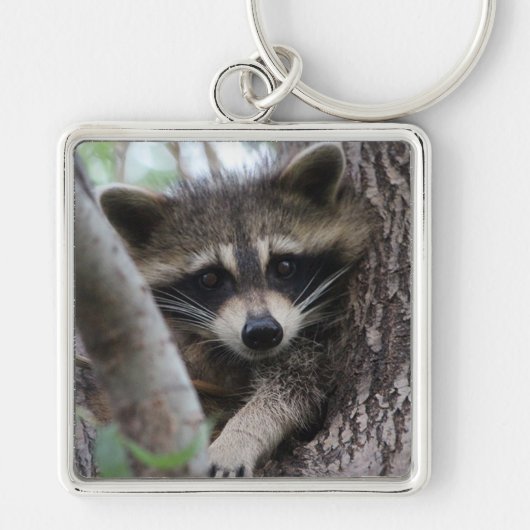 Porte-clés Raccoon (Devant)