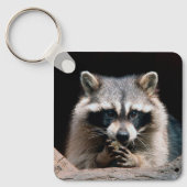 Porte-clés Raccoon 004 (Recto)