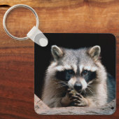 Porte-clés Raccoon 004 (Recto)