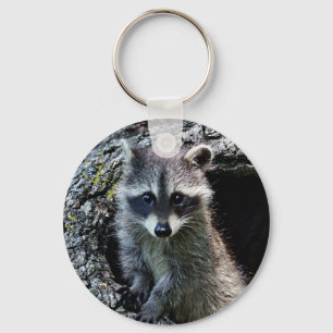 Porte-clés Raccoon dans le Den
