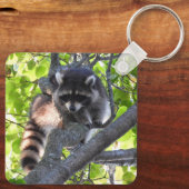 Porte-clés Raccoon dans un arbre (Verso)