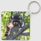 Porte-clés Raccoon dans un arbre (Dos)