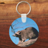Porte-clés Raccoon perché (Recto)