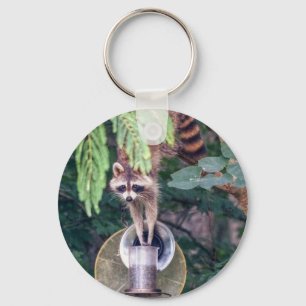 Porte-clés Raccoon raid l'éleveur d'oiseaux