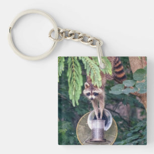 Porte-clés Raccoon raid l'éleveur d'oiseaux