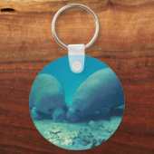 Porte-clés Racine de Manate dans le sable (Recto)