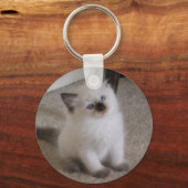 Porte-clés Ragdoll Kitten (Recto)