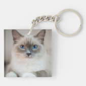 Porte-clés Ragdoll Kitten Portrait (Dos)