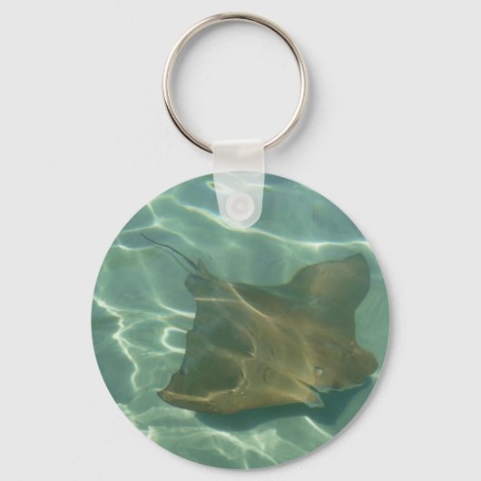 Porte-clés Raies dans la mer (Recto)